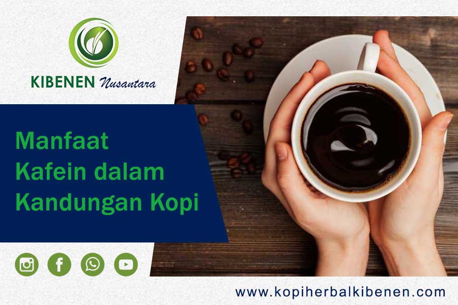 Manfaat Kafein Dalam Kandungan Kopi – Kibenen Coffee